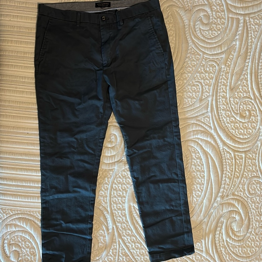 Banana Republic Fulton Skinny Chino